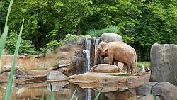 Moje máma veterinářka – práce v zoologické zahradě Moje máma veterinářka – práce v zoologické zahradě