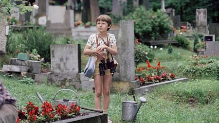 Kvíz: Český film a seriál v kostce. Kdo nedá těchto 10 základních otázek, je ignorant a měl by se stydět