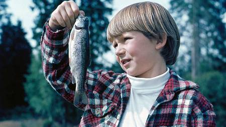 Jak dnes vypadá chalupa na Šumavě z filmu Pod jezevčí skálou. Podívejte se na zázrak