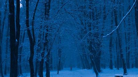 Gotický horor s DiCapriem má první snímky z Čech. Tahle pecka zaútočí na Oscara