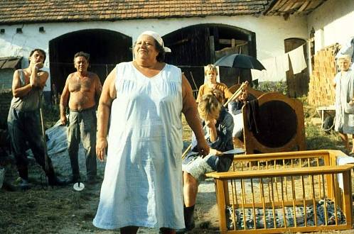 Kvíz: Patříte mezi fandy trilogie Slunce, seno? Tak tohle musíte dát na první dobrou