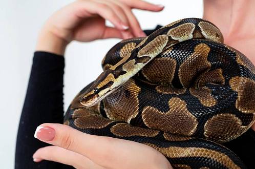 Tohle má doma herečka Tereza Kostková. Návštěvu trefí šlak už u dveří