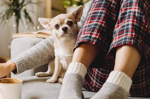 Jak svět přichází o básníky: Tahle romantická komedie pohladí duši v každé době