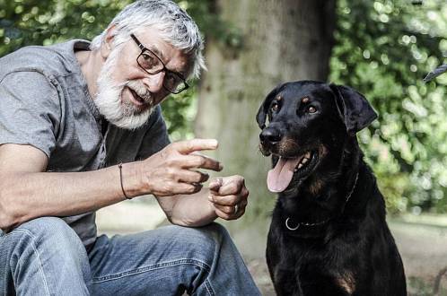 Teorie tygra ukazuje manželství bez příkras. Některé scény jsou až nepříjemně pravdivé