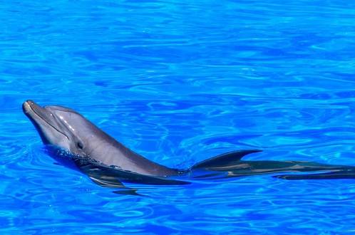 Vykoupení z věznice Shawshank. Zítra vysílá Nova Cinema  nejdojemnější film s Morganem Freemanem. Popláče si celá rodina