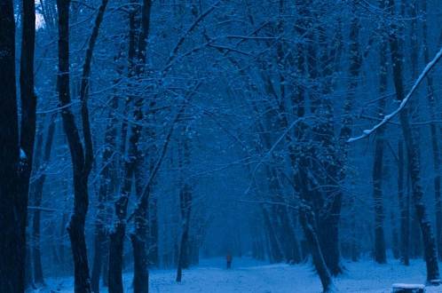 Gotický horor s DiCapriem má první snímky z Čech. Tahle pecka zaútočí na Oscara