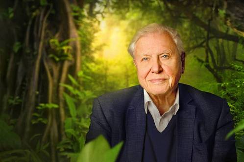Nejznámější přírodovědec oslavil 100 let. Jeho příběh namluvil Jan Šťastný
