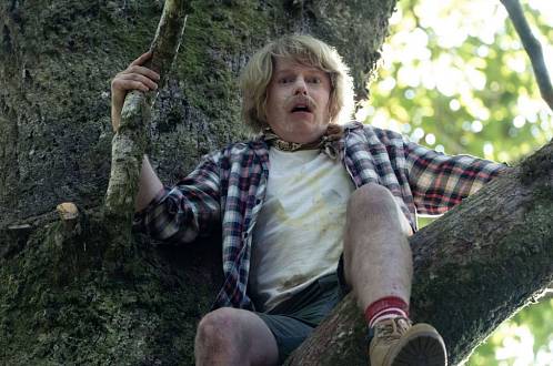 Medvěd na koksu: V lesích se odehrál bizarní příběh. Hollywood mu dal pořádně divoké pokračování