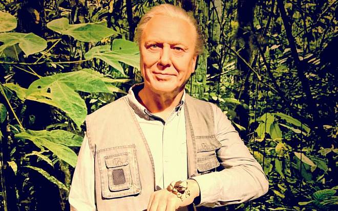David Attenborough: Celoživotní pozorovatel přírody a optimista, věřící, že člověk se sám nevyhubí