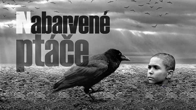Nabarvené ptáče (2019): Lidé v Benátkách neunesli brutalitu filmu a utíkali z kina Nabarvené ptáče (2019): Lidé v Benátkách neunesli brutalitu filmu a utíkali z kina