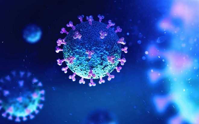 Slavné české osobnosti, které v nedávné době prodělaly koronavirus Slavné české osobnosti, které v nedávné době prodělaly koronavirus